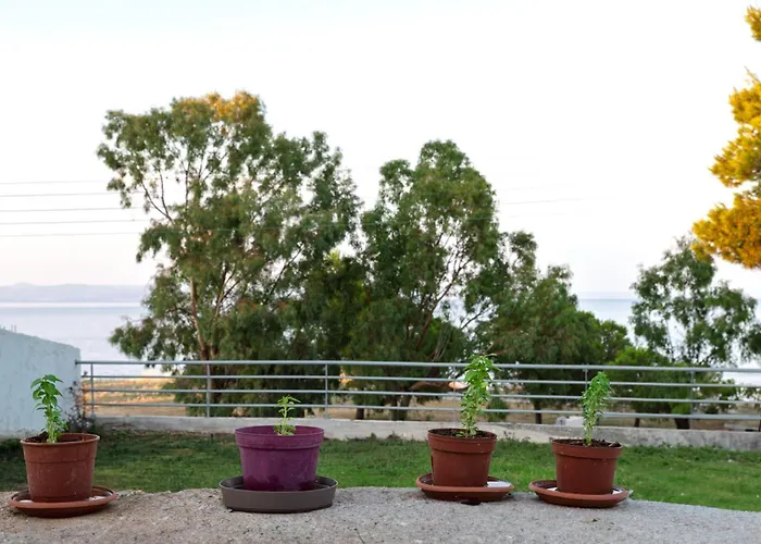 Zoi Seaview *