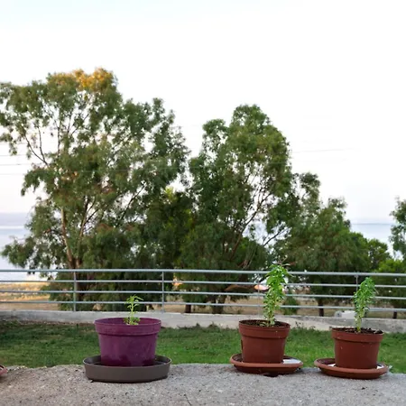 Zoi Seaview *